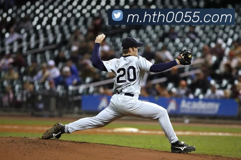 华体会平台生态图